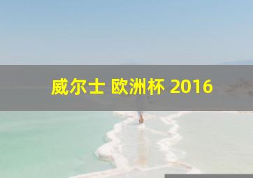 威尔士 欧洲杯 2016